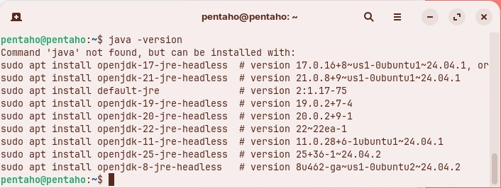 Ubuntu apt installed OpenJDK versions list