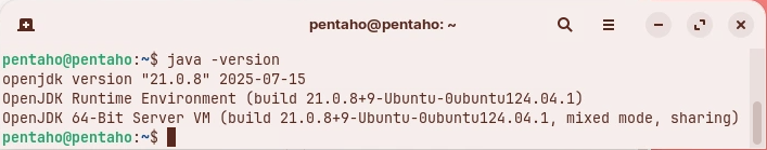 java -version output showing Java 21